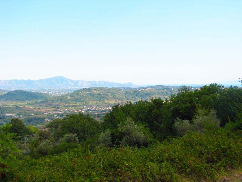 Selvacava, with its many olive groves, looking toward the Tyrrhenian Sea