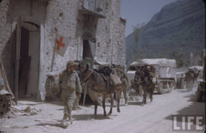 Ausonia, Frosinone, May 14, 1944, during WWII