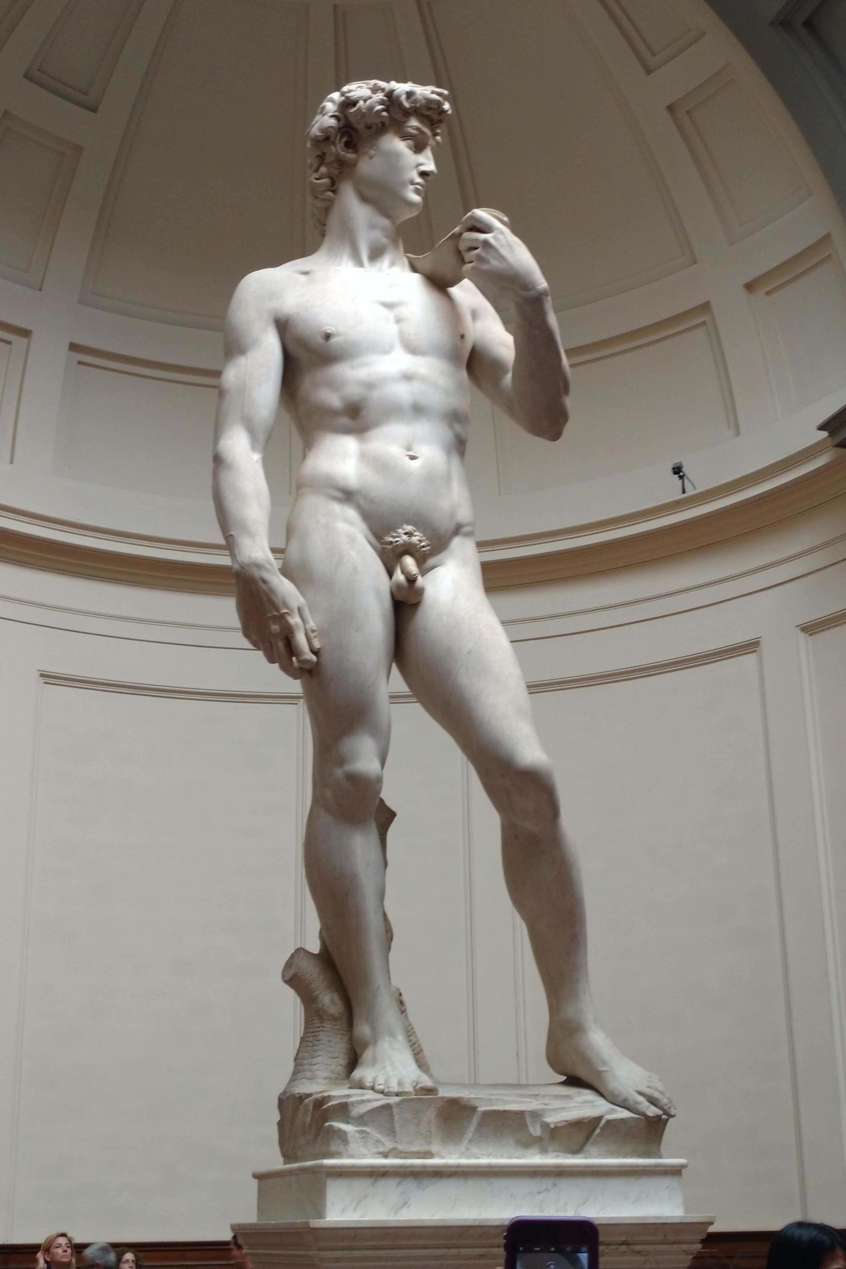 Statue of David by Leonardo da Vinci, Galleria dell'Accademia