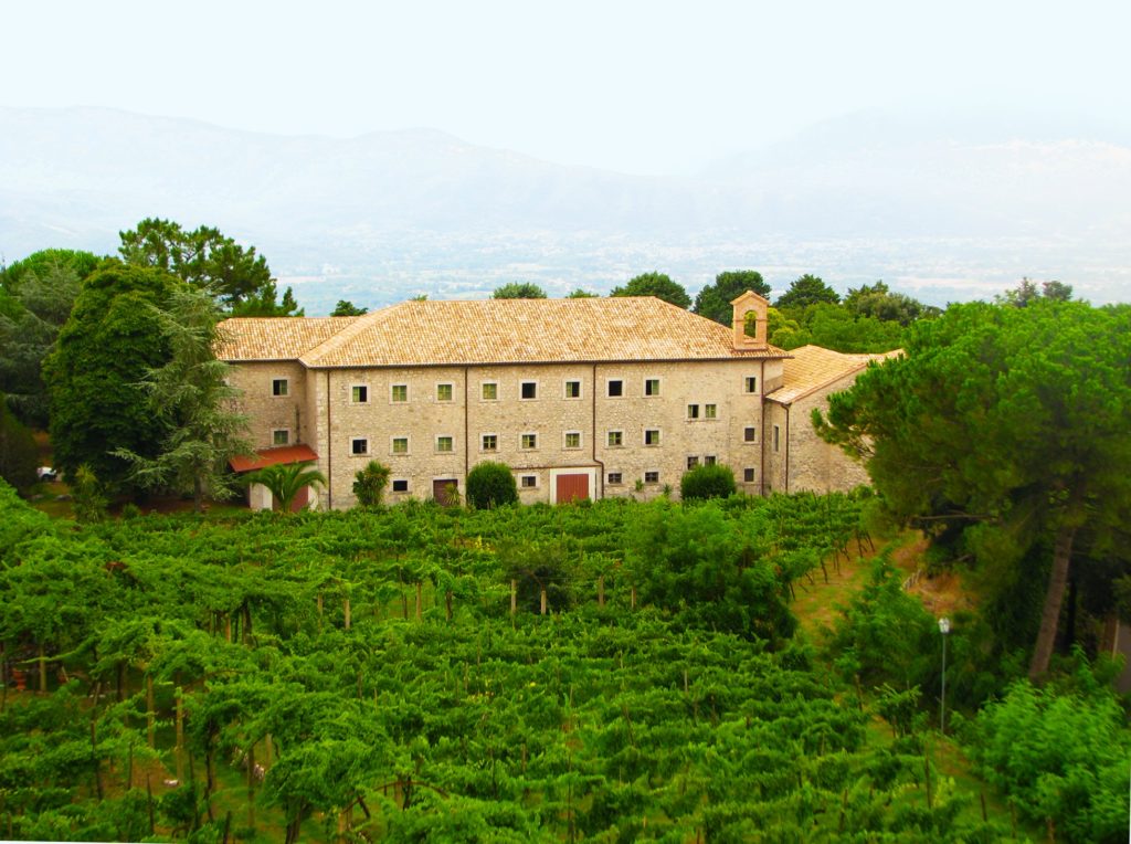 Monte Cassino Vineyard
