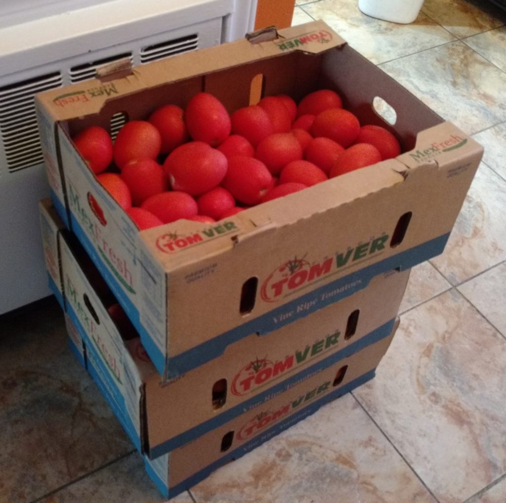25 lb. Boxes of Tomatoes