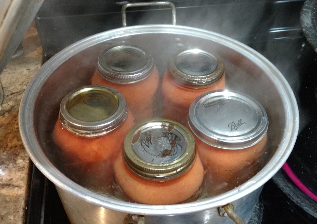 Boiling jarred tomatoes to preserve.