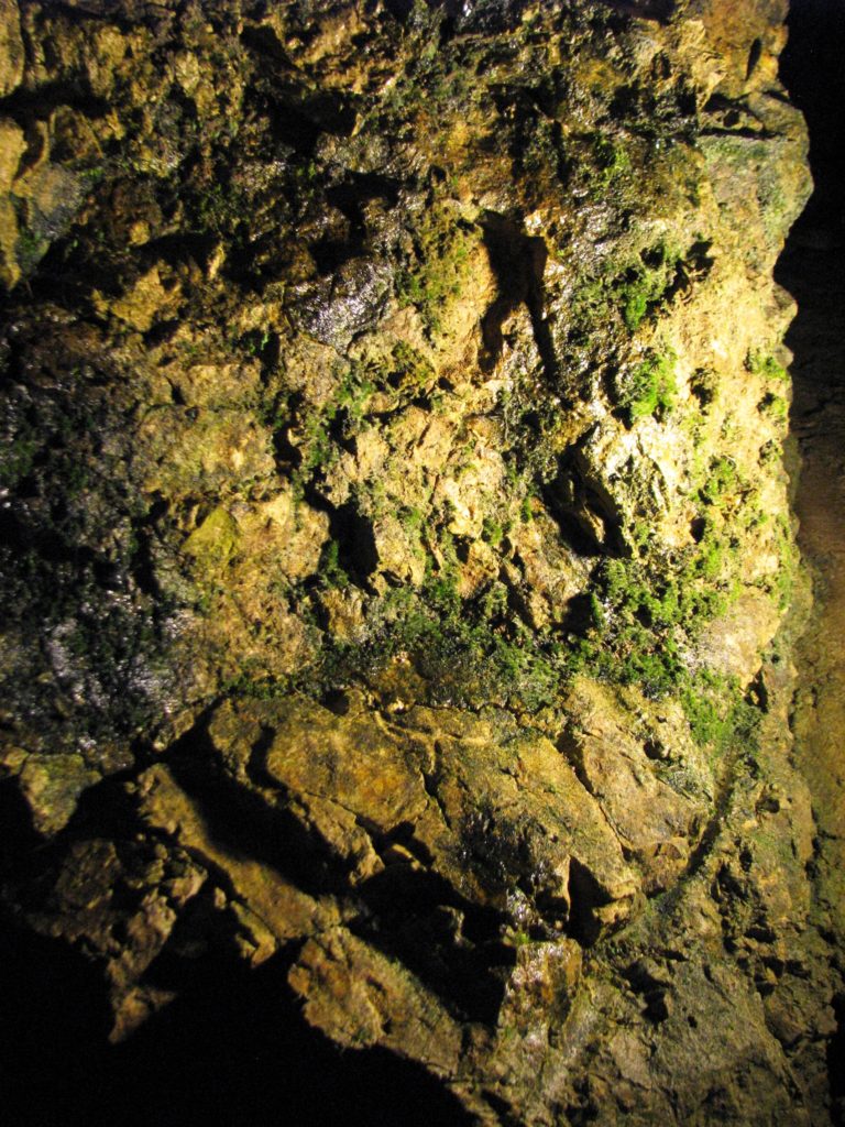 Le Grotte di Pastena - Moss